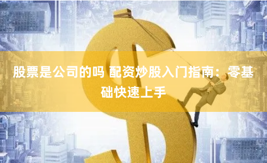 股票是公司的吗 配资炒股入门指南：零基础快速上手