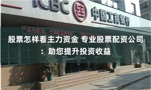 股票怎样看主力资金 专业股票配资公司：助您提升投资收益