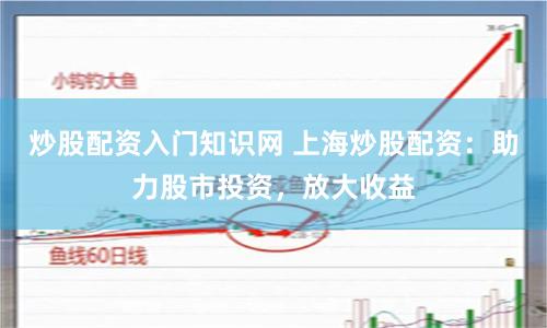 炒股配资入门知识网 上海炒股配资：助力股市投资，放大收益