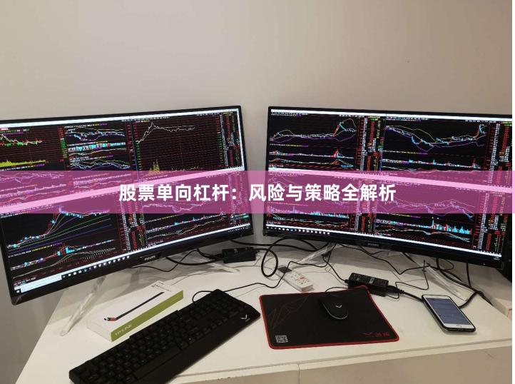 股票单向杠杆：风险与策略全解析